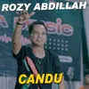 About Candu Song