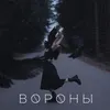 Вороны