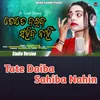 About Tate Daiba Sahiba Nahin Song