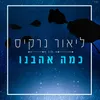 About כמה אהבנו Song