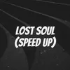 About Lost Soul (Speed Up) Song