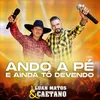 About Ando a Pé e Ainda Tô Devendo Song