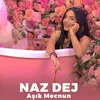 About Aşık Mecnun Song