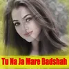 About Tu Na Ja Mare Badshah Song