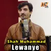 About Lewanye Song