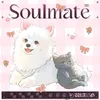 About Soulmate Song