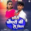 About Chhauri Chaudhary Jee Se Mil Song