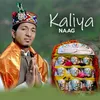 About Kaliya Naag Song