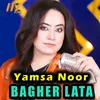 About BAGHER LATA Song