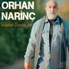 About Salınarak Damdan İner Song