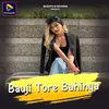 About Bauji Tore Bahinya Song