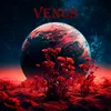 About VENUS Song