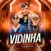 About Vidinha Louca Song