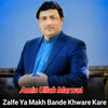 About Zalfe Ya Makh Bande Khware Kare Song