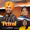 About Petrol Song
