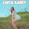 Cinta Karet