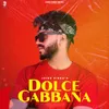 About Dolce Gabbana Song