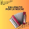 About Vallenato por la noche Song