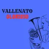 About Vallenato grorioso Song