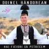 About Hai ficiori să petrecem Song