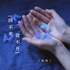 About 回不来放不开 Song