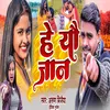 About Hai Yau Jaan Song