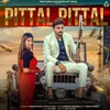 About Pittal Pittal Song