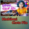 About Bhabibani Chota Pila Song