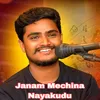 About Janam Mechina Nayakudu Song