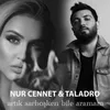 About Artık Sarhoşken Bile Aramam Song