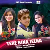 About TERE BINA JEENA Song