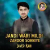 Jandi Wari Mildi Zaroor Sohniye