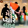 About Mere Pyare Vatan Song