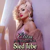 About Sled tebe Song