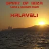 About Spirit of Ibiza Song
