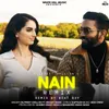 About Nain (Remix) Song