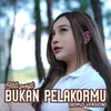 About Bukan Pelakormu Koplo Version Song