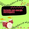 About Gozando con energia merenguera Song