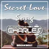 About SECRET LOVE SONG BREAKBEAT Song