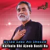 About Karbala Bhi Ajeeb Basti Ha Song