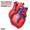 About Pain In My Heart Song