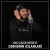 Cəbhənin Aslanlari