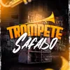 About Trompete safado Song