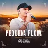 Pequena Flor