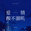 About 爱情酸不溜叽 Song