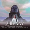 About Shivaay (Unplugged) Song