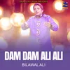 About Dam Dam Ali Ali Song