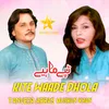 About Kite Waade Dhola Song