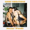 About Good Vibrations Song