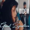 About Didem Song